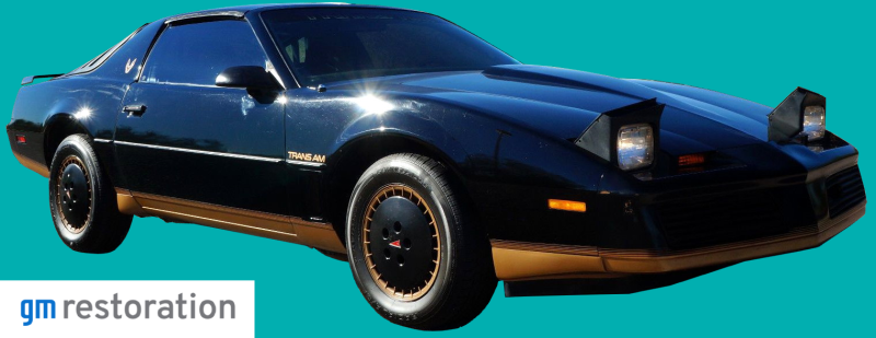 1982 Pontiac Trans Am Premium Stripe Kit