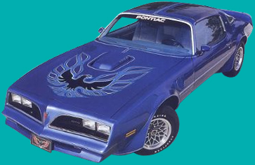 1973-81 CUSTOM TRANS AM "SPECIAL EDITION"