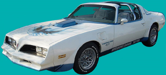 1977-79 MACHO T/A