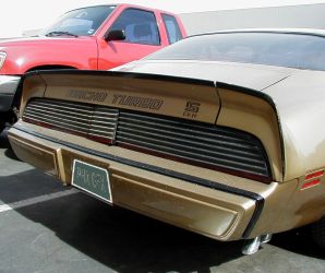 1980 MECHAM MACHO TURBO TRANS AM