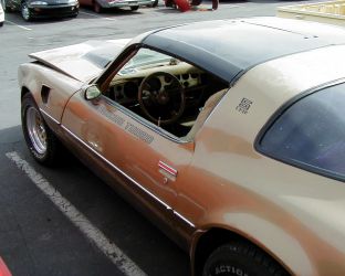 1980 MECHAM MACHO TURBO TRANS AM