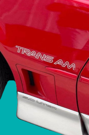 1987-90 Trans Am Fender Name Decal