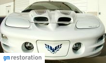 1998-2002 Trans Am Front Bumper Decal