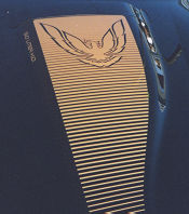 1984 Trans Am Hood Decal